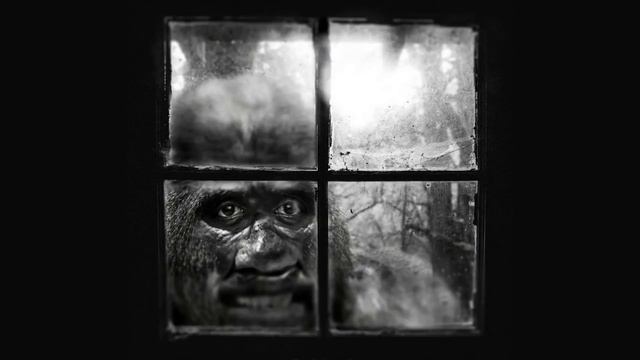 Bigfoot Tried To Stick His Head In My Window! Plus 2 More Bigfoot Encounters смотреть онлайн