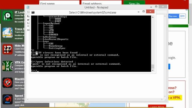 Scammer Tries To Wreck My Virtual Machine