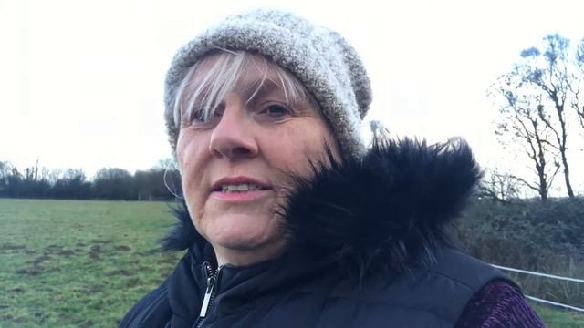 Field Watch, horses in North Devon | Vlogging Country Mum | смотреть онлайн