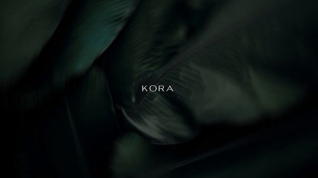 Chillout Organic Trippy Music // Kora - Passage
