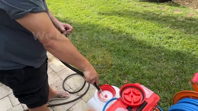 Maintenance day and early March blooms! смотреть онлайн