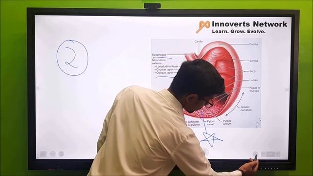 ACCUTOUCH| Interactive Flat Panel| Ep: 4| Review| Demo| Features| смотреть онлайн
