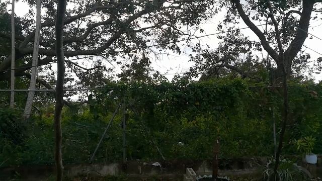 WINDOW SWAP - BELIZE смотреть онлайн