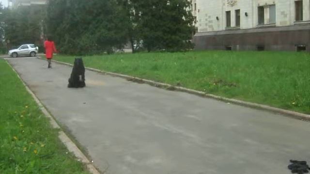 Выдержка при отвлечении (ошибок много) смотреть онлайн