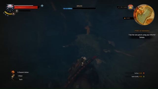 The Witcher 3 Walkthrough 20 смотреть онлайн