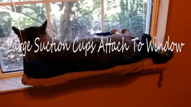 Cat Window Bed. Cats LOVE this! смотреть онлайн