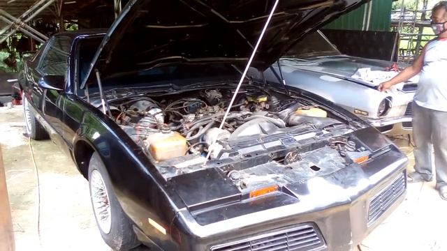 1982 Pontiac Firebird Trans Am 3rd Generation смотреть онлайн