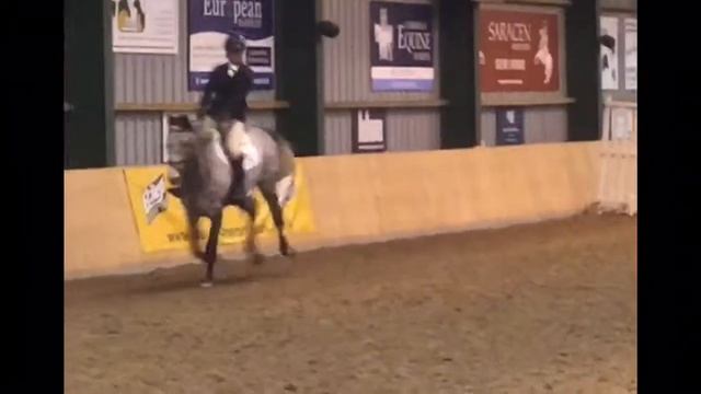 Sweet Deal | First Competiton | Baileys Jump Training | 80cm смотреть онлайн