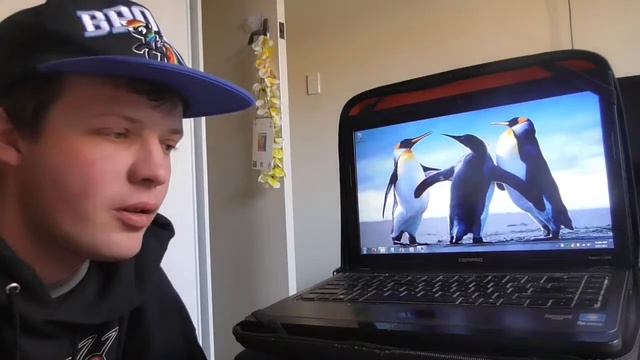 The Worst Thing I Ever Did On My Old Compaq Laptop смотреть онлайн
