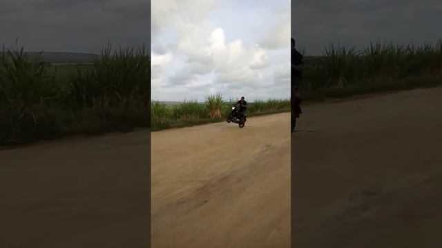 Treino de hoje so cortadas mostras смотреть онлайн