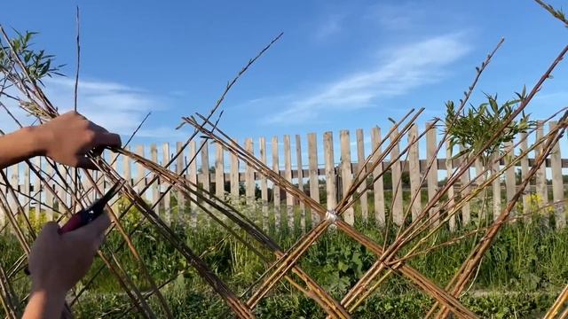 Русская ива. Мастер-класс. Плетём изгородь из ивы. смотреть онлайн