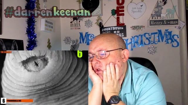 🎅 Dazzlers Life 🎄Insects that get under your skin Reaction Vlog #1 смотреть онлайн