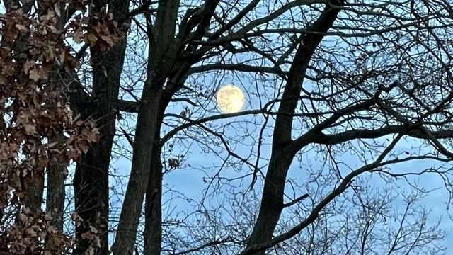 iPhone 12 Pro Max - moon смотреть онлайн