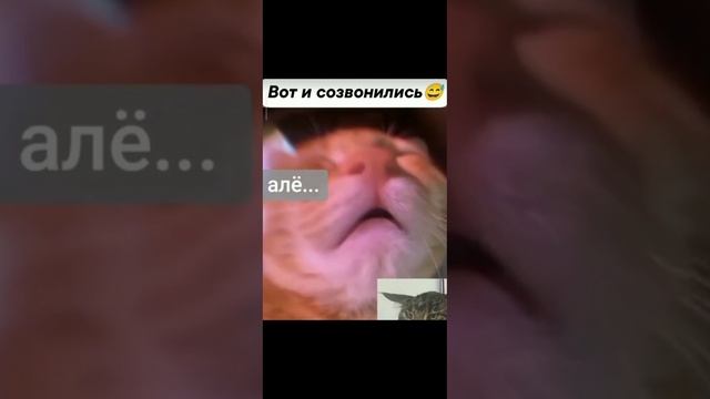 Вот , и созвонились 🤣😂😅