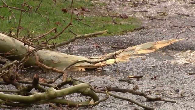 Tornado warnings issued as severe thunderstorms pass through West Virginia смотреть онлайн