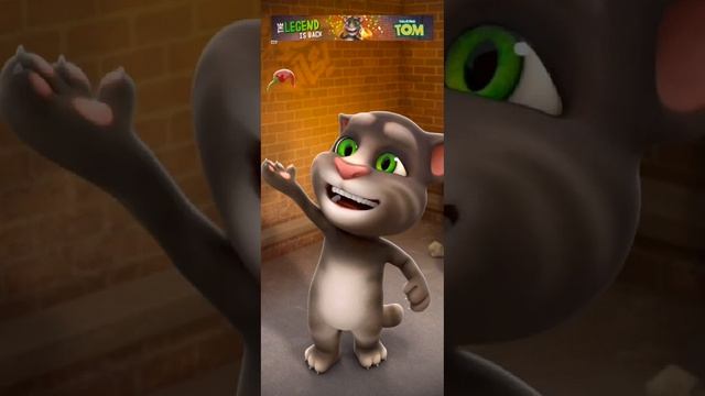 talking tom cat gameplay android/ iso смотреть онлайн