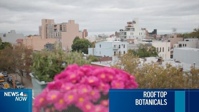 Mysterious Metal Pipe Shatters Queens Couple's 9th Story Window | News 4 Now смотреть онлайн