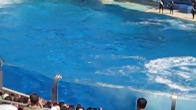 2012 tesla model S at sea world смотреть онлайн