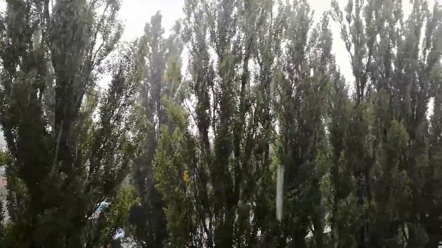 Погода в Киеве. смотреть онлайн
