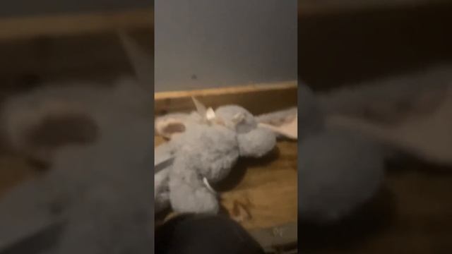 Why does he keep leaving the window open? смотреть онлайн