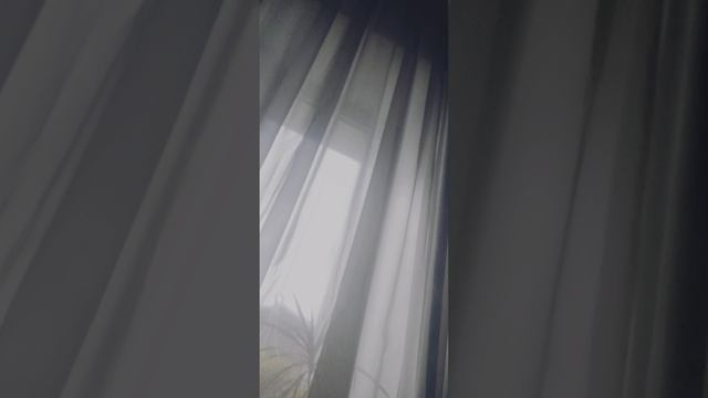 1000264784.mp4 смотреть онлайн