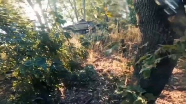 ⚡️СВО 18+ Кадры боя 51 парашютно-десантного полка в Веселом Курской области с видом от первого лица. смотреть онлайн