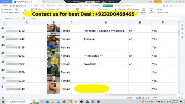 Gender and Age based whatsapp number filter | SMS Marketing | Call Center Leads #smsmarketing смотреть онлайн