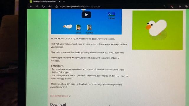 I installed the Desktop Goose! He brings CHAOS (& memes)! смотреть онлайн
