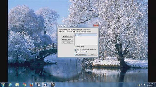 Thunderbird Profile смотреть онлайн