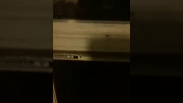 How to get out a window screen смотреть онлайн
