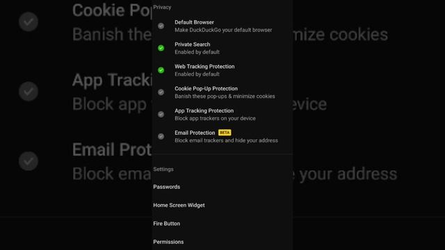 Mastering DuckDuckGo Browser: A Comprehensive Guide to Private and Efficient Browsing смотреть онлайн