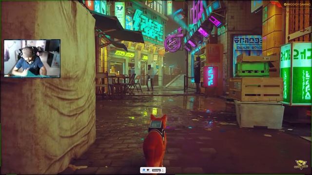 STRAY Gameplay 1080p 60FPS PC PART 3 смотреть онлайн
