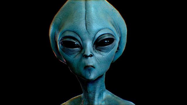 Paris... Очень это некрасиво... Смеяться над чужой внешностью... :) смотреть онлайн