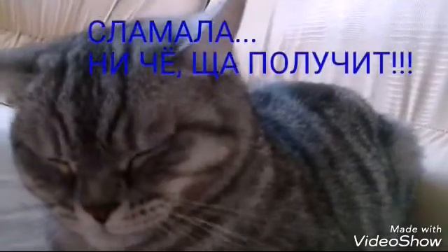 СОНЯ НАРИСОВАЛА СЕБЕ АЙФОН смотреть онлайн