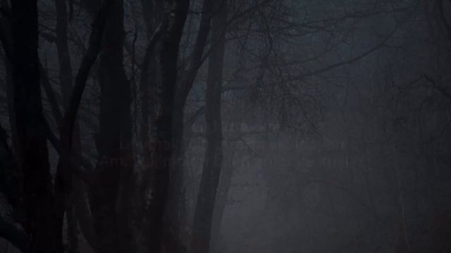 Miracle Musical - Murders (türkce çeviri) {lyrıcs}