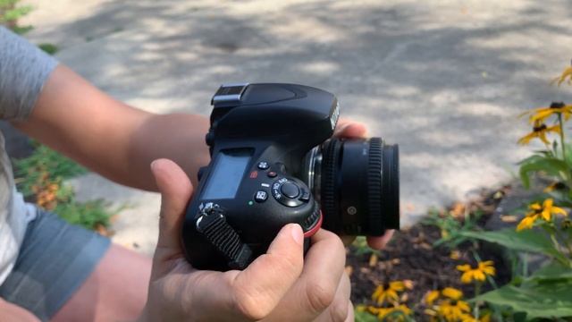How to Freelense with Nikon смотреть онлайн