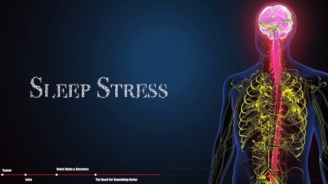 THE KEY TO MUSCULAR GAINS AND RECOVERY !! смотреть онлайн