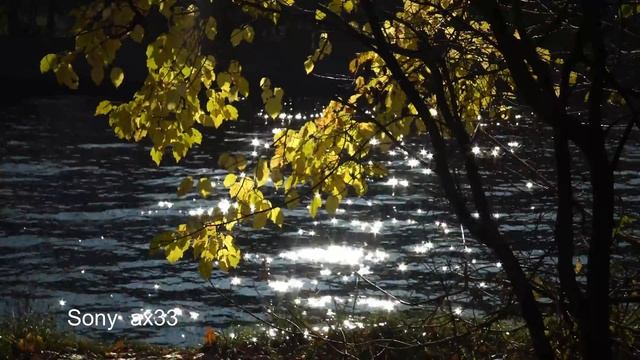autumn. test Sony ax33 vs Fuji x-t20 vs iPad Pro 11 2019. 4k video смотреть онлайн