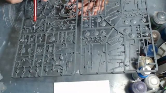 AOS Skeleton Army Start смотреть онлайн