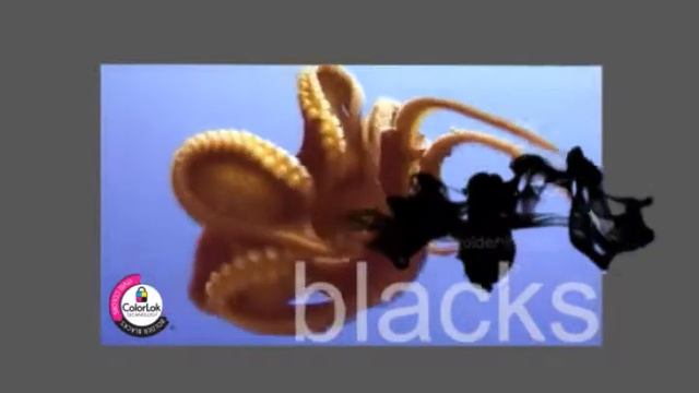 ColorLok Paper Benefits Hummingbird English video смотреть онлайн