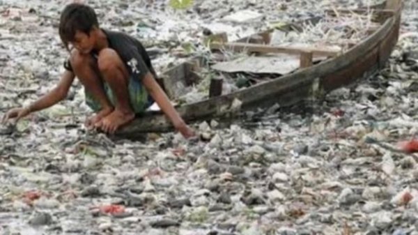 Ecology Projects 2019