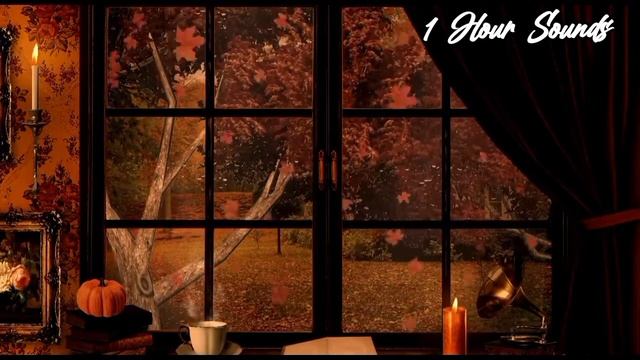 Sit Beside The Window To Read Your Book With A Hot Cup Of Coffee & Feel The Soft Rainey Sounds смотреть онлайн