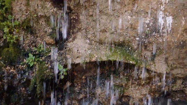 Loftus Hot Springs смотреть онлайн