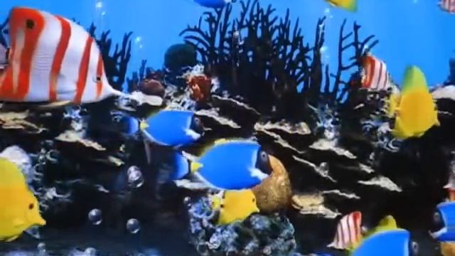 1. aquarium screen saver with music смотреть онлайн