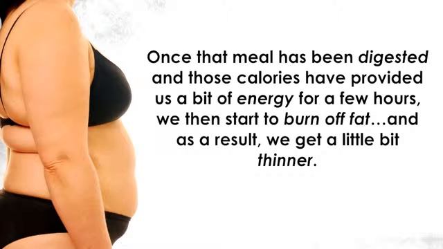 The 3 Week Diet System By Brian Flatt HD смотреть онлайн