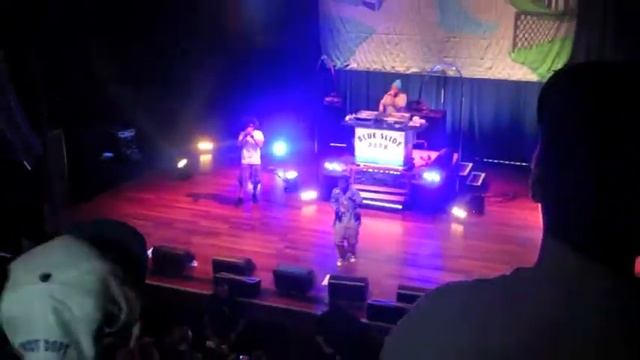 Mac Miller- Blue Slide Park Tour смотреть онлайн