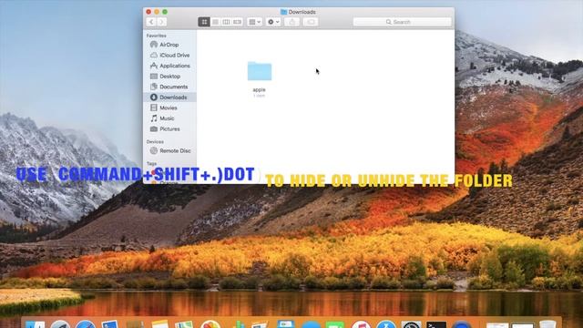 How to hide or unhide folders in Mac OS? #tips #tipsandtricks смотреть онлайн