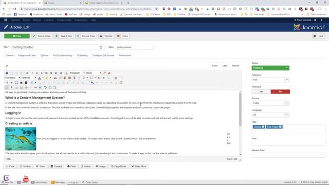 A Look at Joomla 3.9.0 Privacy Tool Suite Release - 👀 Watch Me Work Live Stream 010 смотреть онлайн