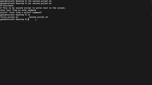 Shell Scripting for Humans (014): Finding your script (ls) смотреть онлайн