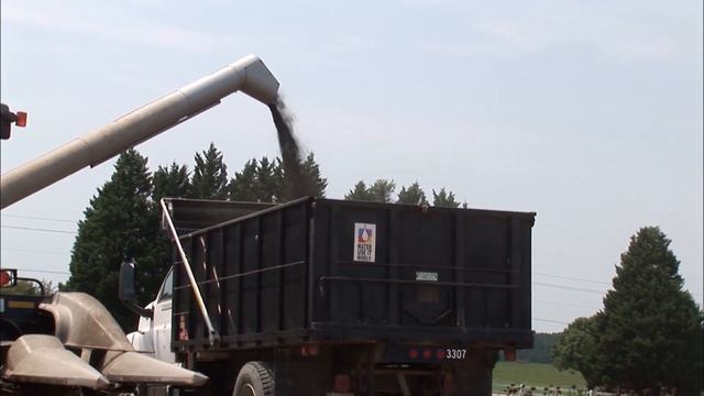 Unleashing Nature's Power: Discovering North Carolina's Energy Revolution смотреть онлайн